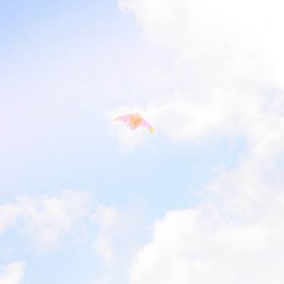 hth体育网站登录APP